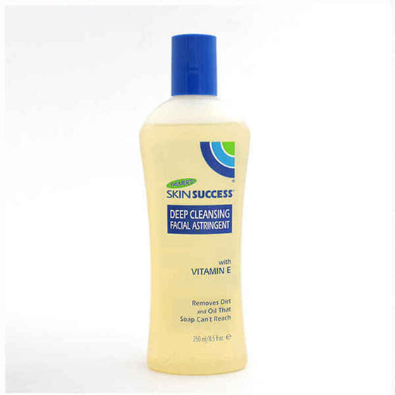 Body Cream Palmer's Skin Success Deep Cleansing (250 ml)