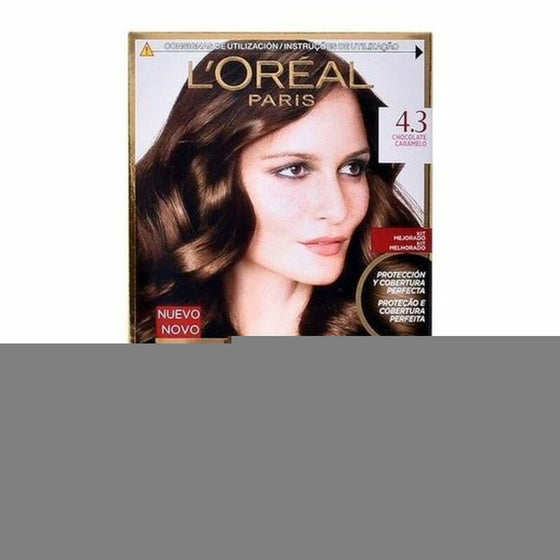 Permanent Dye Excellence L'Oreal Make Up