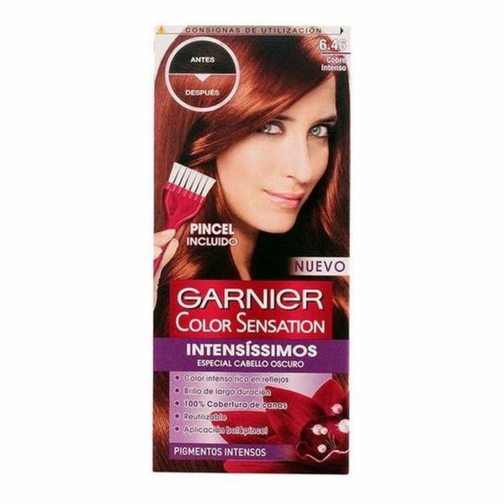 Permanent Dye Color Sensation Intensissimos Garnier Intense copper