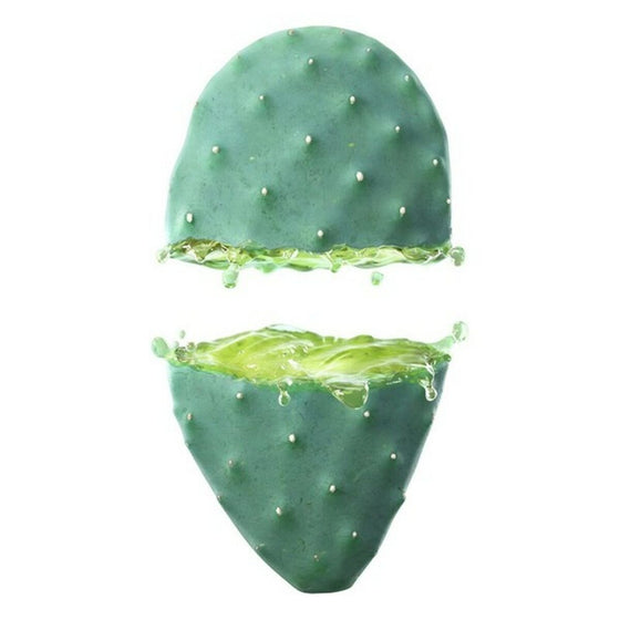 Hydrating Facial Cream Cactus Opuntia 24h Weleda (30 ml)