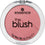 Blush Essence The Blush 10-befiting (5 g)