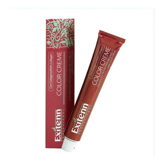 Tinte Permanente Color Creme Exitenn Nº 760 Intense Red (60 ml)